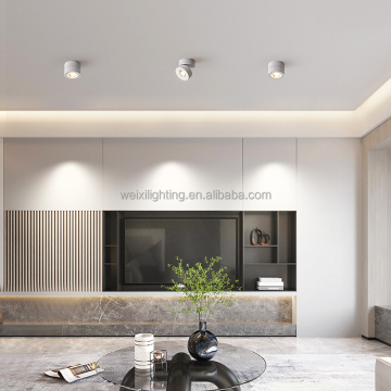 Modern Minimalist Aluminum Spotlight LED Downlight for Living Room and Bedroom