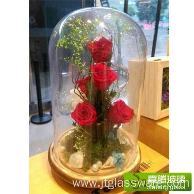 Decorative Clear Glass Bell Jars/Plant Terrarium Dome