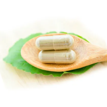 Wholesale sea cucumber powder sea cucumber peptide