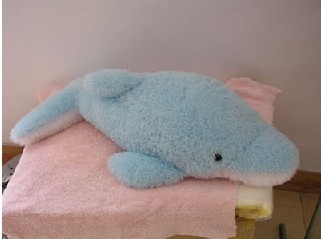 fish toys   SN-030