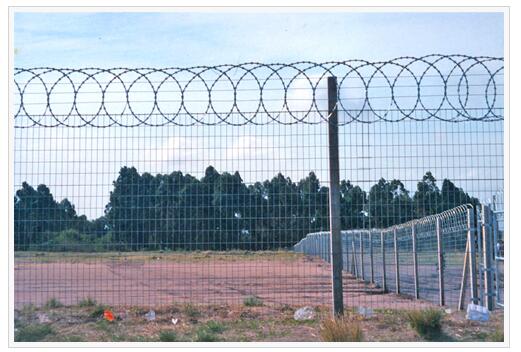 Razor Wire Flatwrap