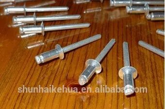 Factory Price of POP Rivets