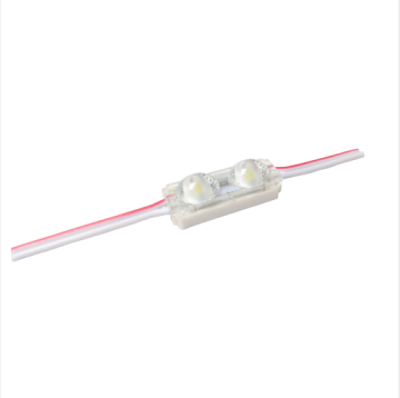 Mini 2led Led Module for Sign Lighting