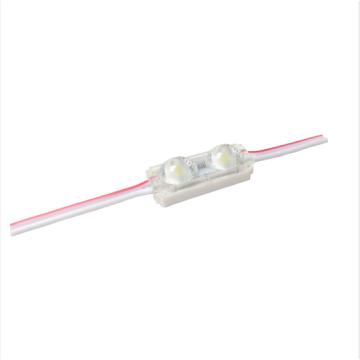 Mini 2led Led Module for Sign Lighting