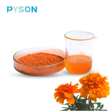 لوتن 5 ٪ استخراج Marigold مسحوق