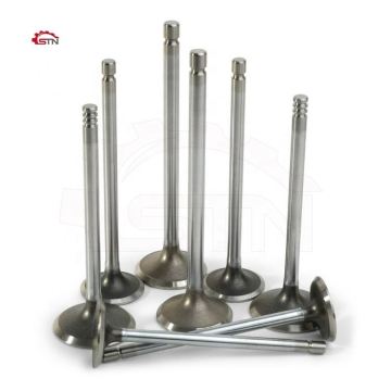 Excavator Diesel Engine Parts: 3802356, 3802355, 4D102 Intake Exhaust Valve