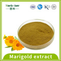 10: 1 serbuk ekstrak marigold mengandungi lutein