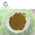 مستخلص Arborvitae للمكملات الغذائية