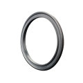 High Quality Piston Seal FKM Material ZT Seals