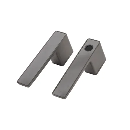 Smart Door Lock with Fingerprint and Face Recognition Unlock