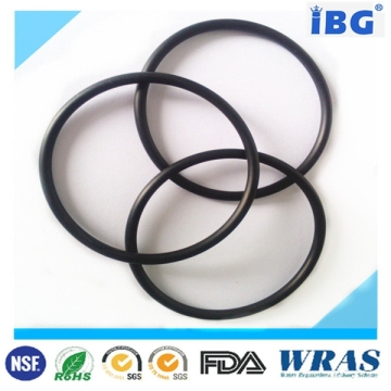 Teflon Encapsulated Silicone O-Rings
