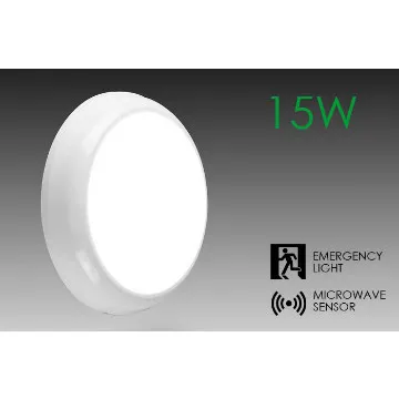 15W 2D Emergency LED lamp