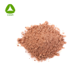 Bio -Bio -beste Qualität 99% Amla Fruchtsaftpulver