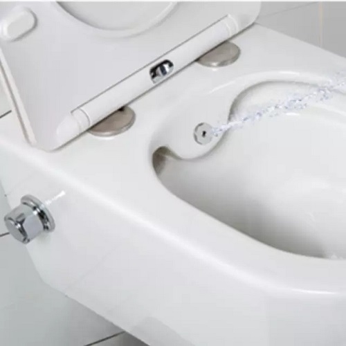 Nozzle Ceramic Sanitary Ware Toilet