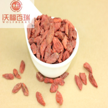 Organic goji berry good for vision and eyes