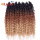 Synthetic Ombre 24inches Butterfly Box Braid Crochet Hair