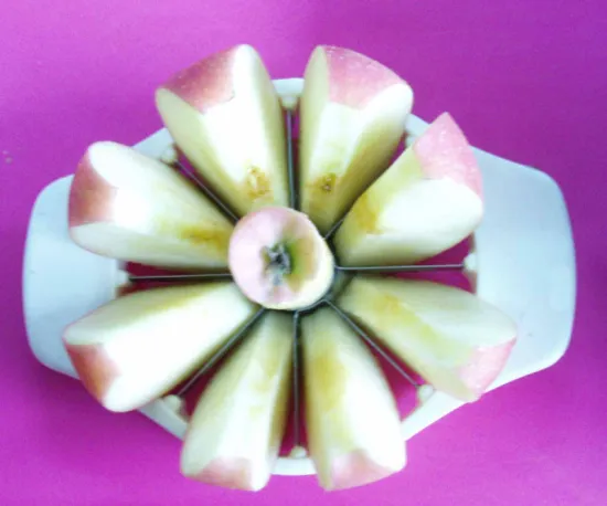 Eco-friendly Plastic apple peeler corer slicer