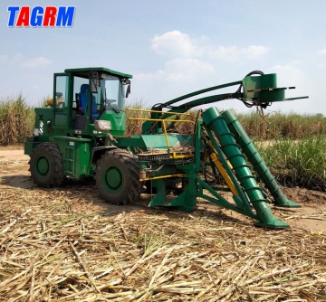 Raccoglitrice per canna da zucchero a gambo intero