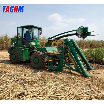 Whole stalk sugar cane harvester