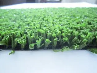 10mm Height Cricket Pitch Grass