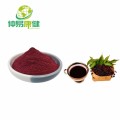 Elderberry Extract Powder Anthocyanidin 5%-25%