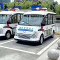 5-seater open electric sightseeing car