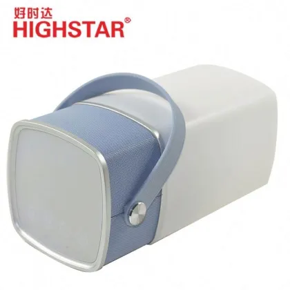 Miniso 24 Inch Bass Gold Speaker - Best Brand Search