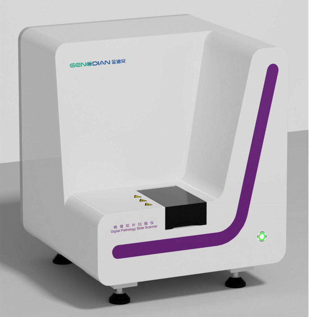 Scanner de diapositives de pathologie numérique DS12