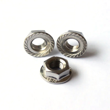 Hexagon Hex Flansch aus Edelstahlmuttern mit Dichtung