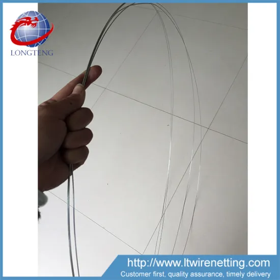 OEM/ODM Factory Direct Hot Dipped Galvanized Steel Fish Cage Traps Wire