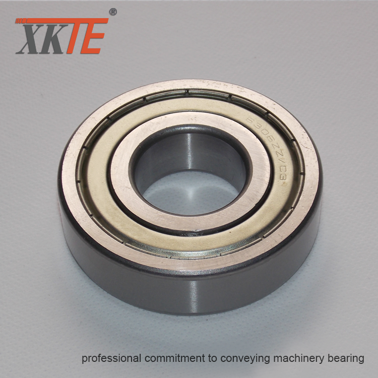 Bearing For Bulk Material Processing Conveyor Idler