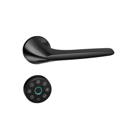 APP controlled smart lock