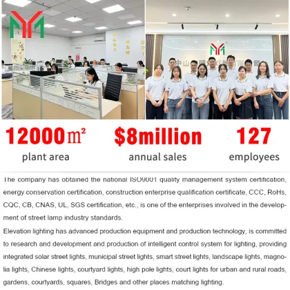 Solar Integrated Street Lights and High Pole Induction Street Lights for Rural Areas