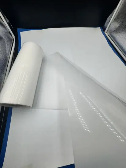 The Multifaceted Role of Transparent PP Film in Food, Tableware, and Specialized Packaging Solutions