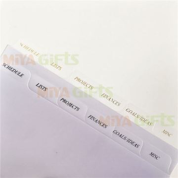Custom Cheap Plastic Frosted Planner Organizers with 6 Side Tab Dividers - Sketches and Goal Planning