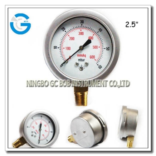 Liquid Filled Brass Internal Din Ring Pressure Gauge, High