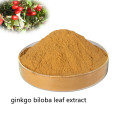 Pharmaceutical priceginkgo biloba leaf extract