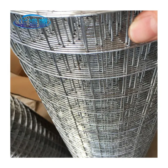 Export Galvanized Welded Wire Mesh to Pakistan