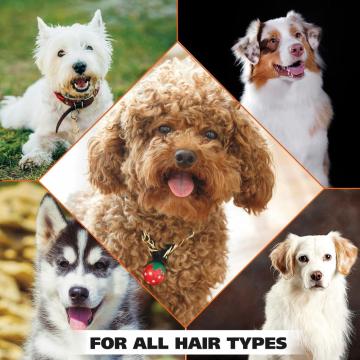 Private label natural OEM organic pet shampoo conditioner