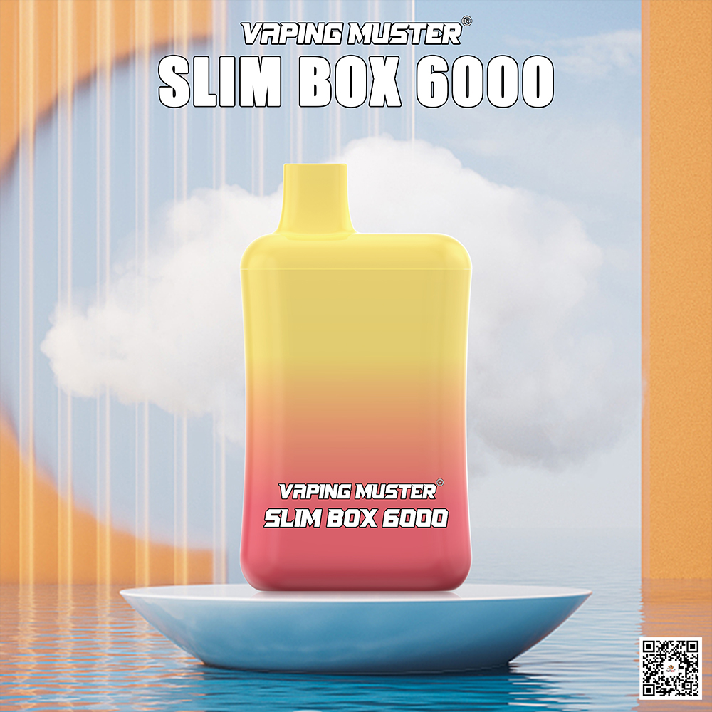 Slim Box Vape 6000 Puff