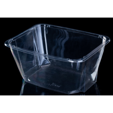 Disposable Rectangular Fruit Salad Box Clear Plastic