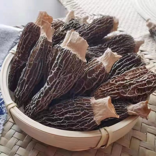 Yemek masasında lezzetli Morchella
