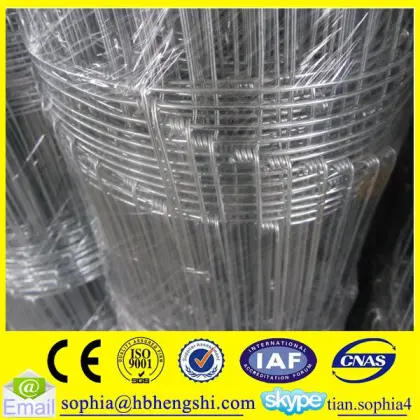 durability farm field fence/high tensile game fence/grassland field fence                        
                                                                                Supplier's Choice