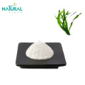 food grade sodium alginate powder 99%