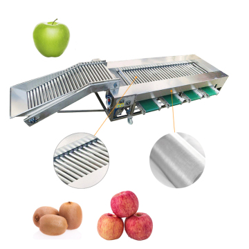 High Speed Roller Carrot Grading Machine by Diameter