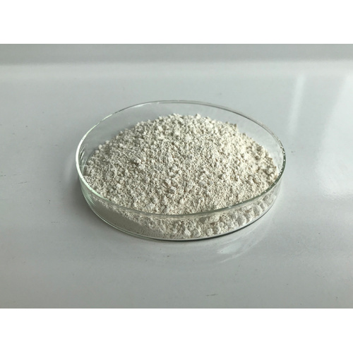 Green Tea Extract EGCG Powder 95%