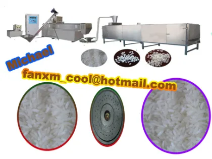 nutritional rice making extruders