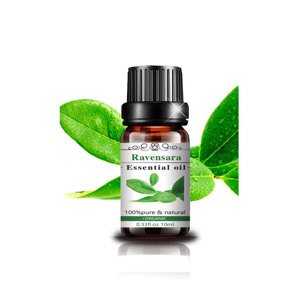 10 ml Ravensara Oil esencial Naturaleza Aceite Aromaterapia superior Naturaleza de grado Ravensara Aceite