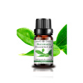 10ml Ravensara Muhimu Mafuta ya Mafuta Aromatherapy Juu Daraja Asili Mafuta ya Ravensara