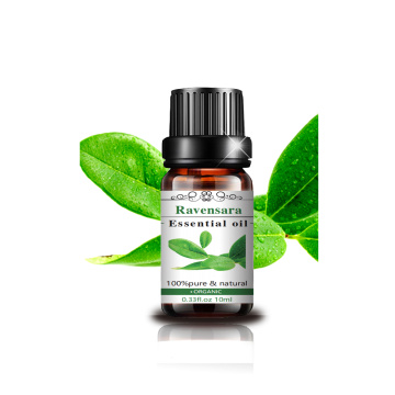 10ml Ravensara Oil essencial Oil Nature Oil Aromaterapy Oil Nature Ravensara Oil